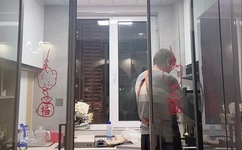 漫画大全之无彩翼漫母